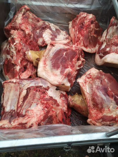 Свинина домашняя