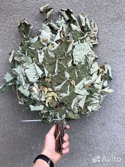 Веник липовый для бани 2024