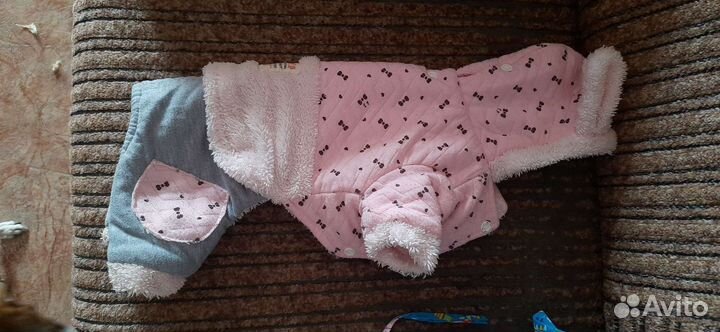 Одежда для маленьких собак