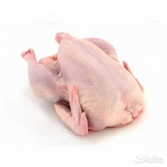 Тушка бройлера опт
