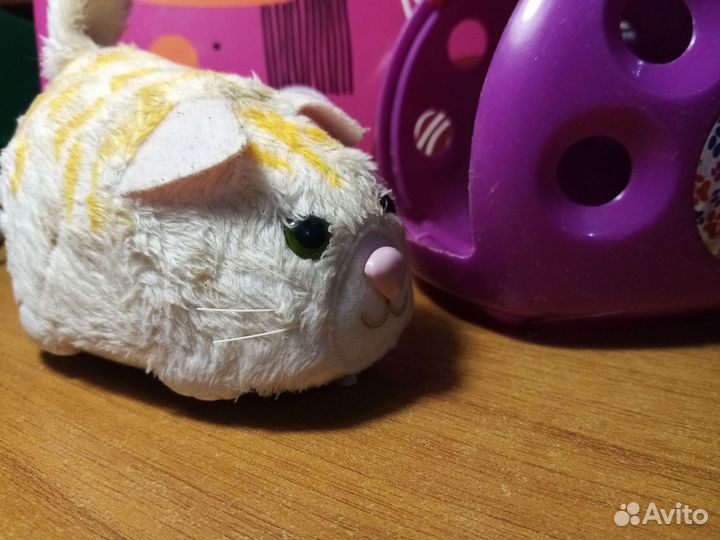 Pets Интерактивный котик в переноски