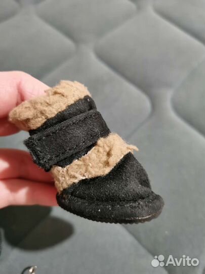 Ботинки на собачку мелкой породы