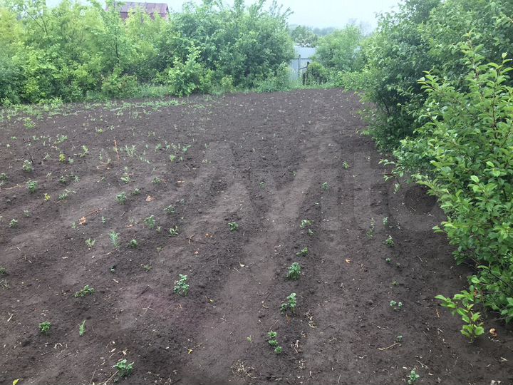 Участок 6 сот. (СНТ, ДНП)