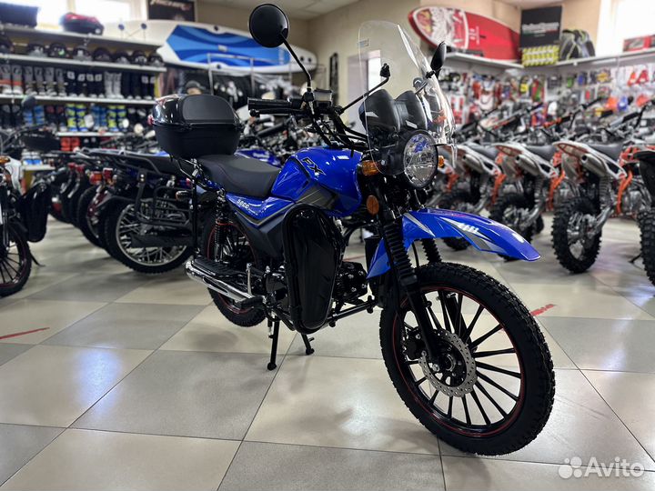 FX moto 50 (125) 2023