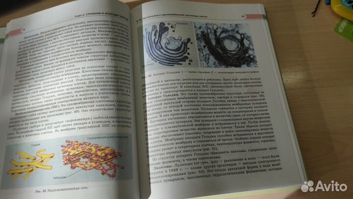 Учебник Теремов, Петросова биология 10 класс 2022