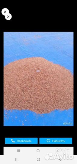 Мормыш гамарус