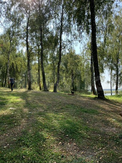 Участок 6,4 сот. (ИЖС)