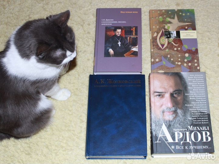 Книги о русских писателях и литературе