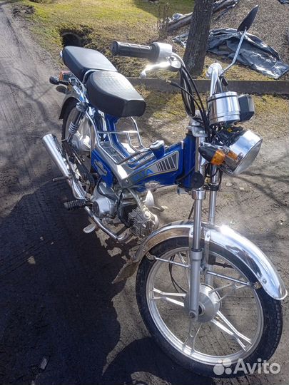 Момед дельта