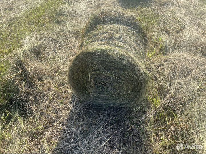 Сено