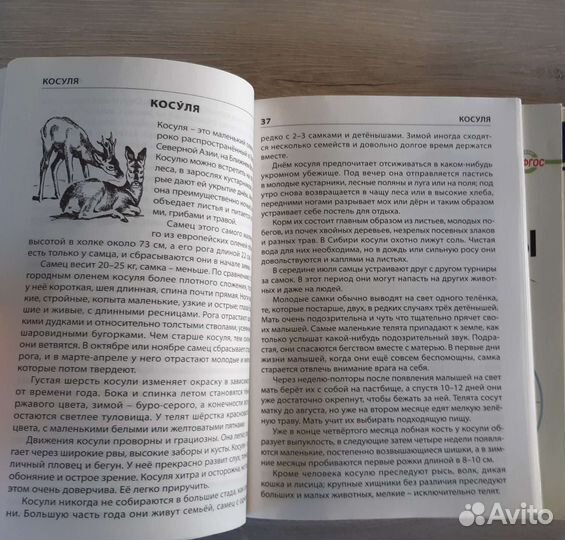 Школьный словарик