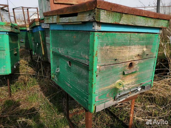 Продам магазины для ульев