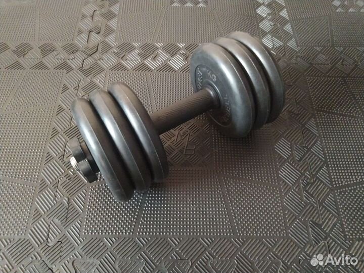 Гантель 16,5 кг вариант 2