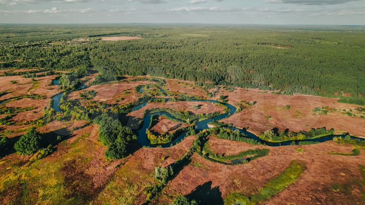 Участок 31,5 га (СНТ, ДНП)