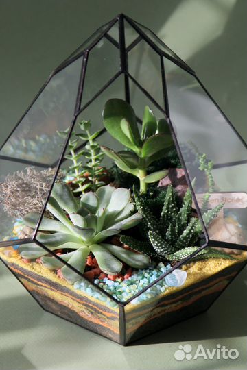 Флорариум 