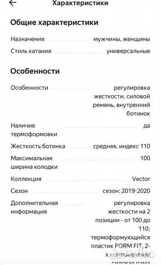 Ботинки для горных лыж