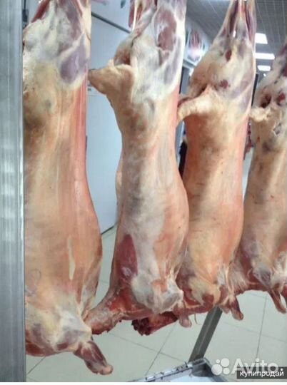 Баранина свежая
