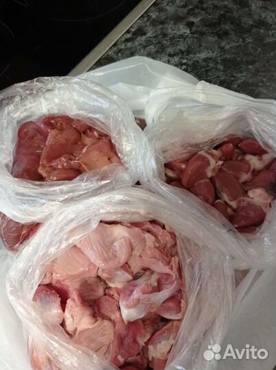 Домашний паштет для животных