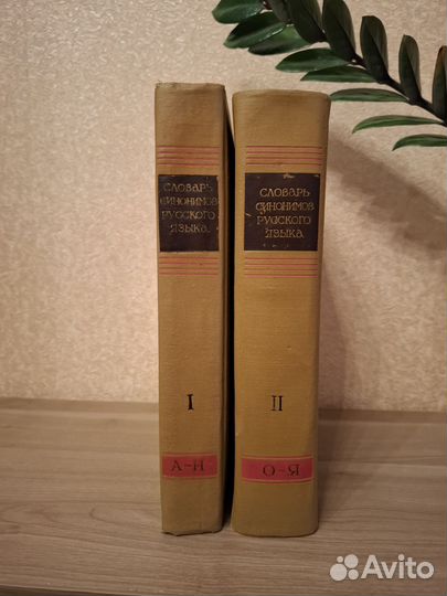 Словарь синонимов русского языка 2 тома