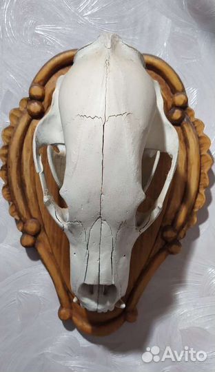 Резьба по дереву