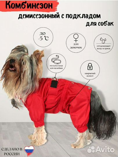 Одежда для собак мелких пород