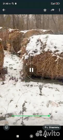 Сено в рулонах