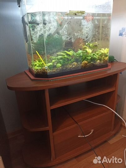 Аквариум