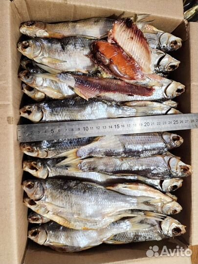 Вяленая астраханская вобла