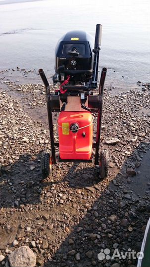 Tohatsu MFS 9.9 (20 )