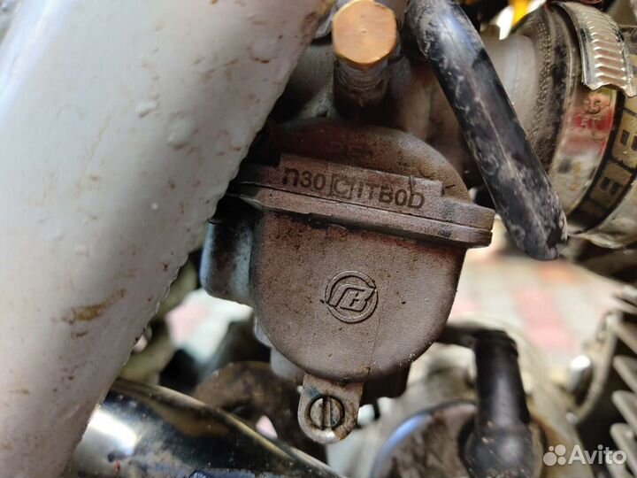 Avantis A2 lux 172 fmm