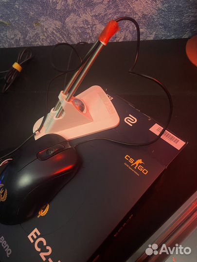 Zowie ec-2 b CS:GO Version