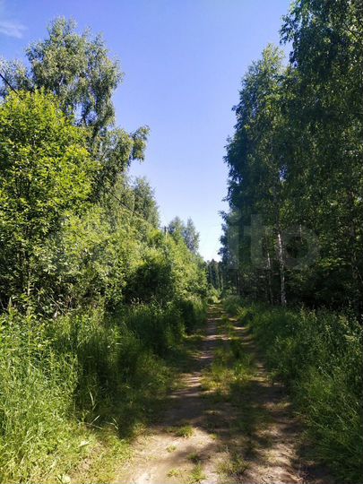 Участок 26 сот. (ИЖС)