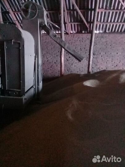 Зерноочиститель Воронежсельмаш СМ-4, 1986