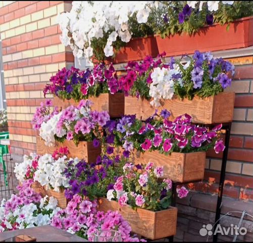 Вертикальная клумба