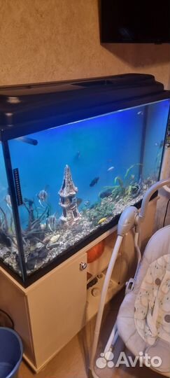 Аквариум