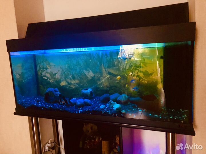 Аквариум с тумбой и рыбками