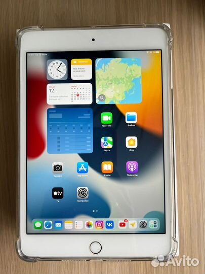 iPad mini 4 128gb cellular