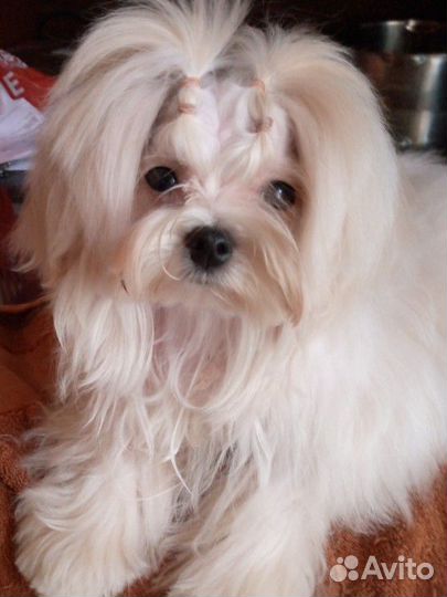 Вязка для декорашек (невест)