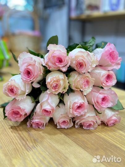 Цветы:Свежее поступление