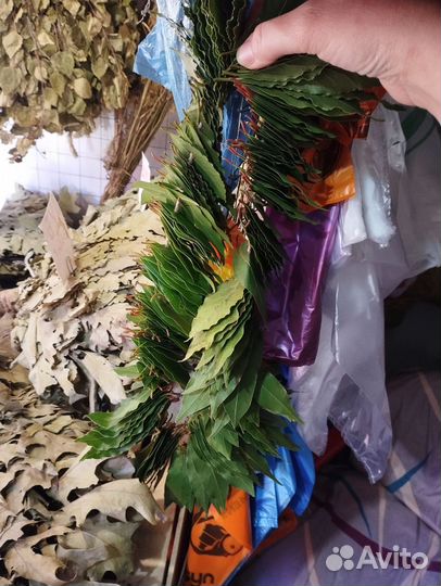 Лавровый лист свежий