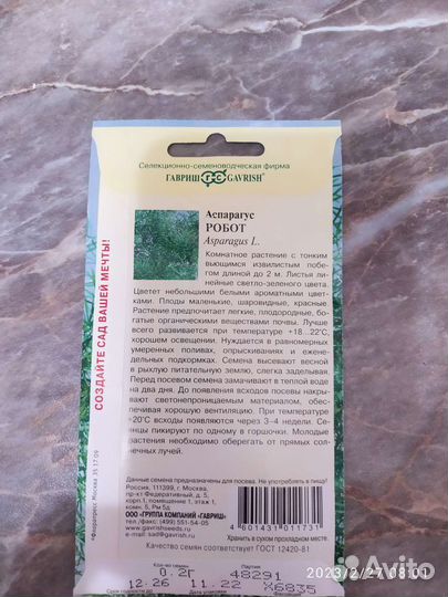 Аспарагус, черенки, семена