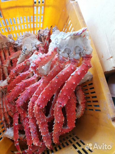 Краб стригун