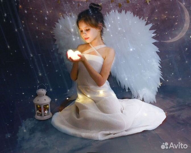 Крылья ангела (Аренда)