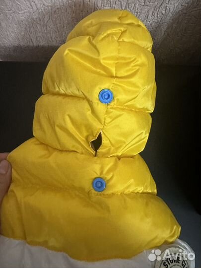 Куртка для собак мелких пород и носочки