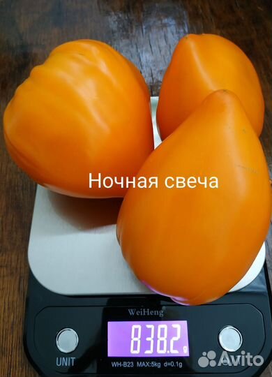 Семена томатов