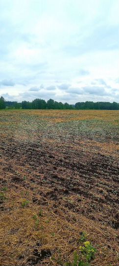 Участок 11,2 га (СНТ, ДНП)