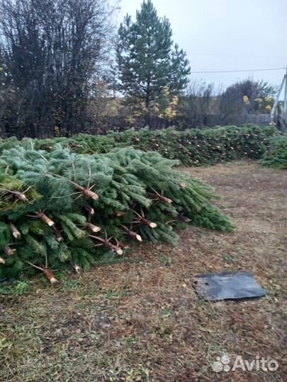 Елочки новогодние оптом