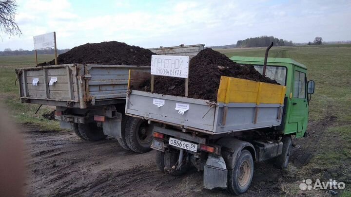 Конский Перегной навоз