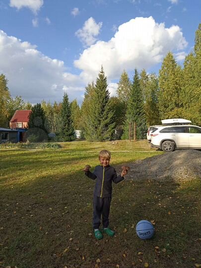 Дача 60 м² на участке 15 сот.