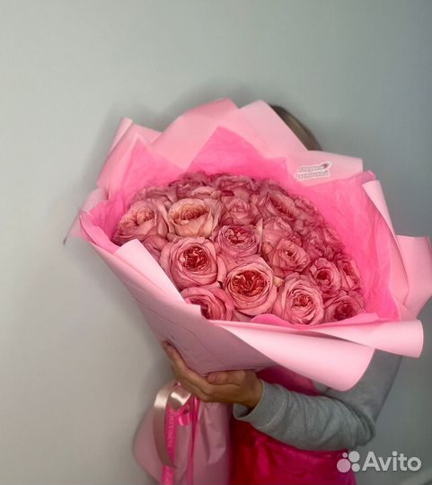 Розы Эквадор 25 шт. Цветы. Букеты. Доставка